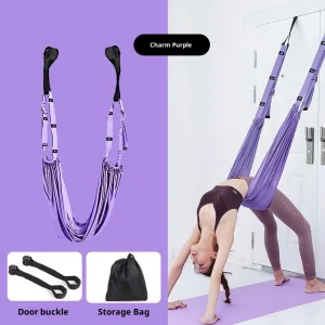 Aerial Yoga Swing Set